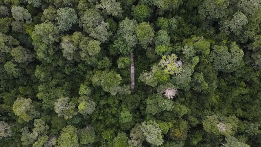 Safer forests means engaged communities and transparency for the entire project