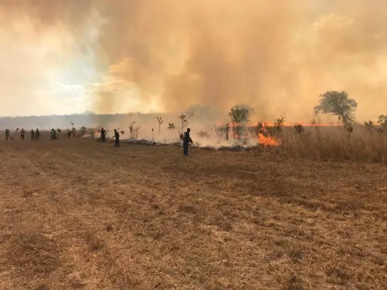 Wildlife Conservation Society’s fire response at the Niassa Special Reserve