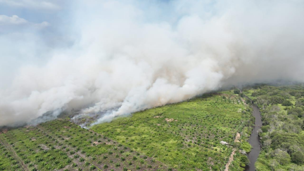 Image of a wildfire outside the project area. Peat fires can be hard to contain, because they tend to burn deep underground for a long period.