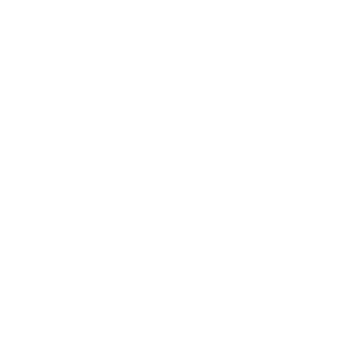 partners-spire-logo-white